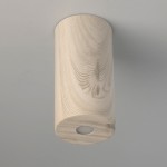 Светильник потолочный De Markt 712010901 Иланг