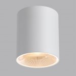Накладные потолочные светильники Odeon light 7139/12CL BRIM