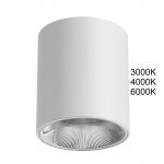 Накладные потолочные светильники Odeon light 7139/12CL BRIM