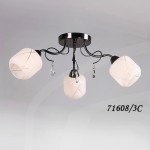 Светильник Colosseo 71608/3C optima