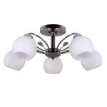 Люстра Colosseo 71915/5C