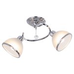 Потолочный светильник Экономсвет 7199/2CR WT