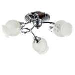 Светильник Colosseo 72103/3C optima