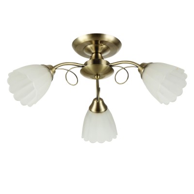 Светильник Colosseo 72119/3C optima