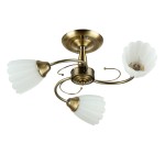 Светильник Colosseo 72123/3C optima