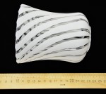 Светильник Colosseo 72133/5C optima