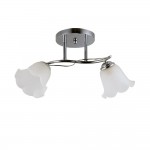 Светильник Colosseo 72192/2C Optima