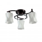 Светильник Colosseo 72197/3C Optima