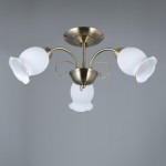 Светильник Colosseo 72204/3C optima