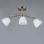 Светильник Colosseo 72211/3C optima