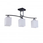 Светильник Colosseo 73003/3C Optima