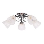 Люстра потолочная Colosseo 73040/5C