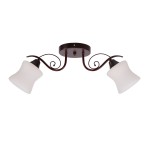 Светильник Colosseo 73044/2C