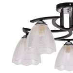 Светильник Colosseo optima 73048/5C венге/хром