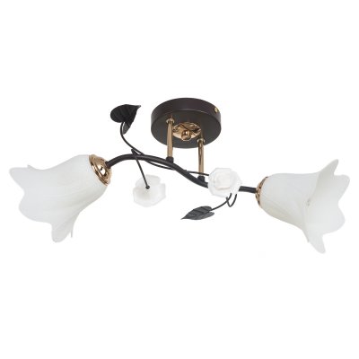 Потолочный светильник Экономсвет 7319/2BK+GD WT