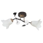 Потолочный светильник Экономсвет 7319/2BK+GD WT