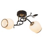 Потолочный светильник Экономсвет 7337/2RD+GD WT