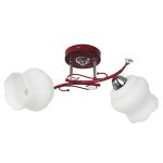 Потолочный светильник Экономсвет 7519/2RD WT
