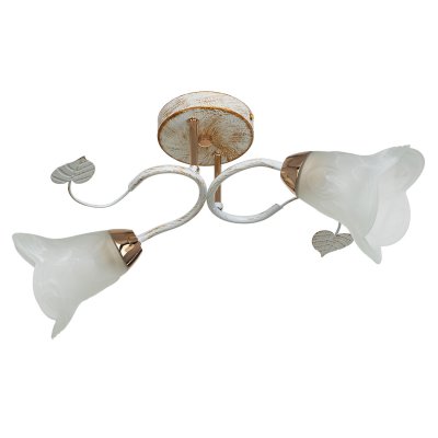 Светильник ЭкономСвет 7536/2FGD+WT WT