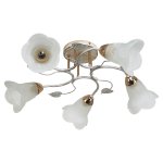 Светильник ЭкономСвет 7536/5FGD+WT WT