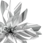 Люстра подвесная Lightstar 754269 Turbio