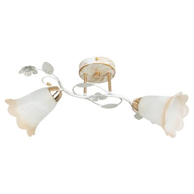 Светильник ЭкономСвет 7838/2FGD+WT WT+BR