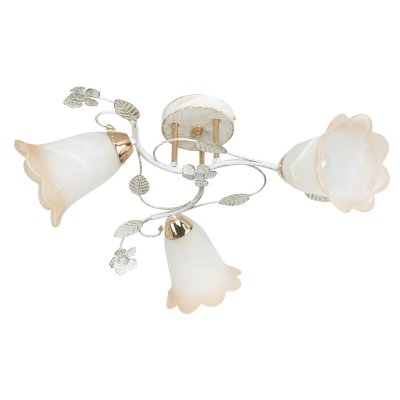 Потолочный светильник Экономсвет 7838/3FGD+WT WT+BR