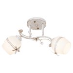 Потолочный светильник Экономсвет 7866/2WG WT+WG