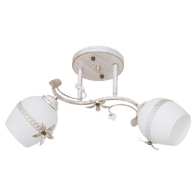 Потолочный светильник Экономсвет 7866/2WG WT+WG