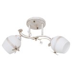 Потолочный светильник Экономсвет 7866/2WG WT+WG