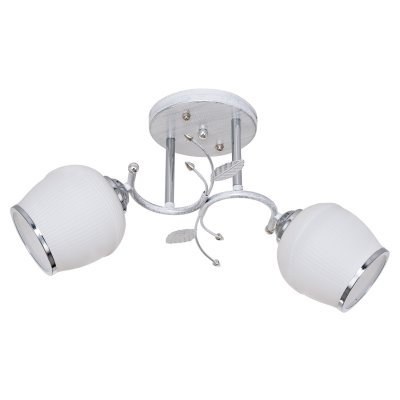 Потолочный светильник Экономсвет 7867/2WT WT