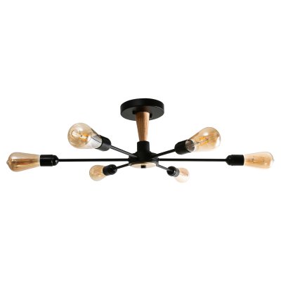 Потолочный светильник лофт Экономсвет 80008/6BK+WD