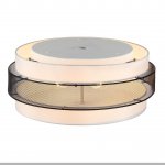 Потолочный светильник Lumion 8002/6C ANIMAISA