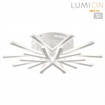 Потолочный светильник Lumion 8029/80CL ALBERTA
