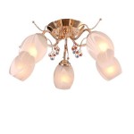 Люстра Colosseo 80329/5C