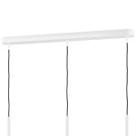 Подвес Lightstar 804130 Simple Light L