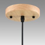 Светильник подвесной Lumion 8050/1А MIRABELA