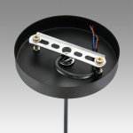 Светильник подвесной Lumion 8052/1А LEONELA