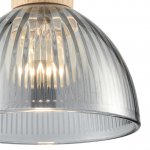 Светильник подвесной Lumion 8053/1А NATANA