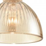 Светильник подвесной Lumion 8054/1А NATANA