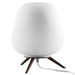 Настольная лампа Lightstar 805911 Arnia