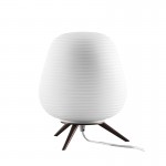 Настольная лампа Lightstar 805911 Arnia