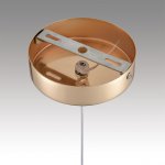 Светильник подвесной Lumion 8083/1A RIMINI