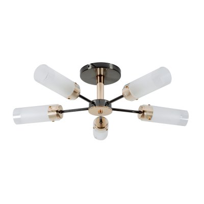 Люстра современная Экономсвет 80867/5BK+FGD WT