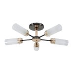 Люстра современная Экономсвет 80867/5BK+FGD WT