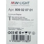 Светильник влагозащищенный Mw light 809020701 Плутон