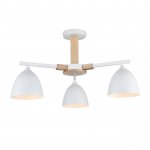 Люстра потолочная Lumion 8095/3C COLANGE