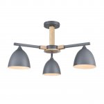 Люстра потолочная Lumion 8096/3C COLANGE