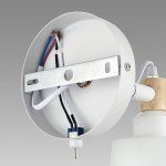 Светильник настенный бра Lumion 8097/1W ROSALINA