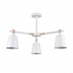 Люстра потолочная Lumion 8097/3C ROSALINA